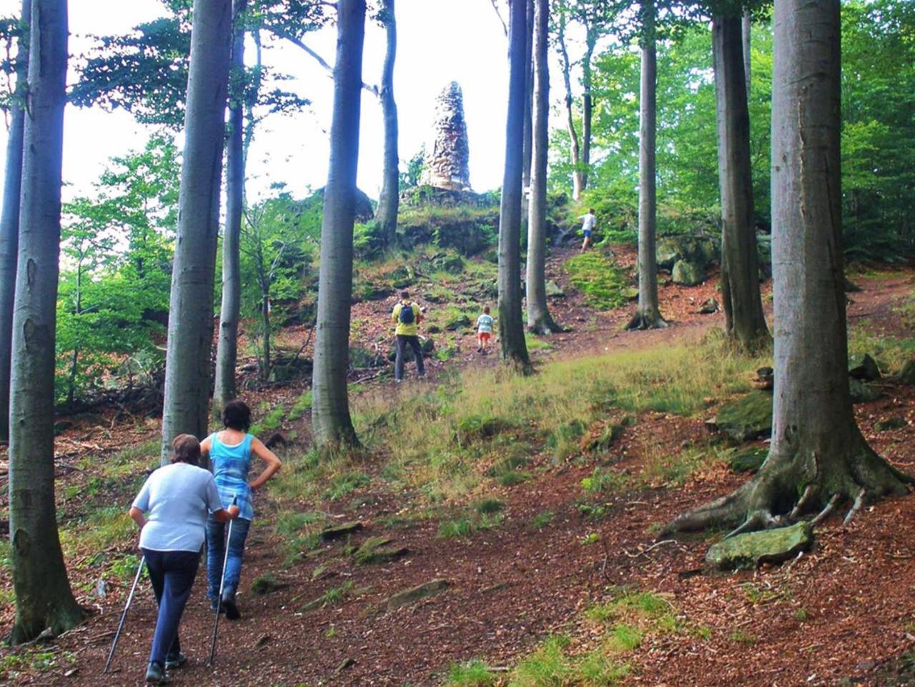 Ferienwohnungen Waldblick Waldmünchen Eksteriør billede
