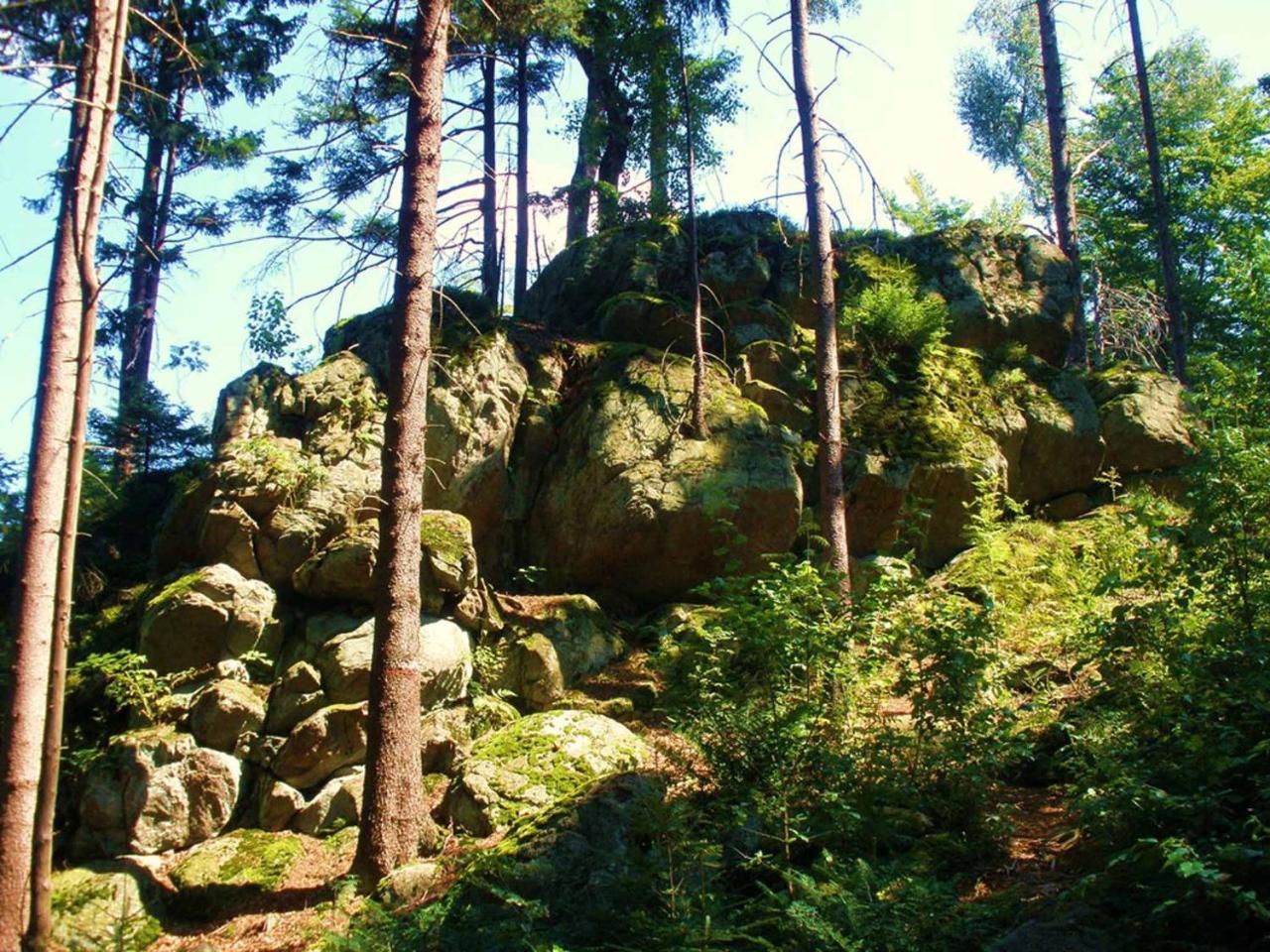 Ferienwohnungen Waldblick Waldmünchen Eksteriør billede
