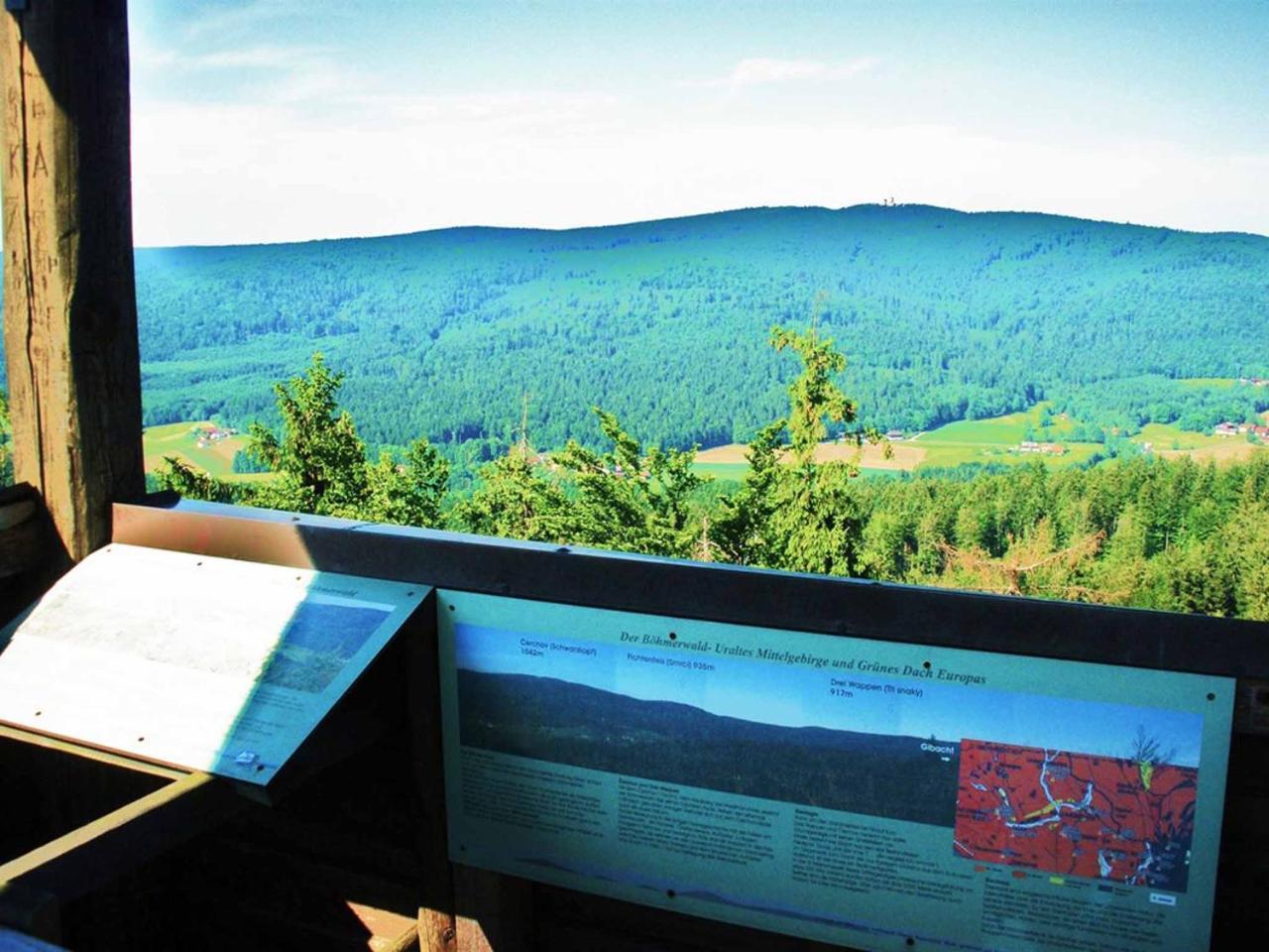 Ferienwohnungen Waldblick Waldmünchen Eksteriør billede