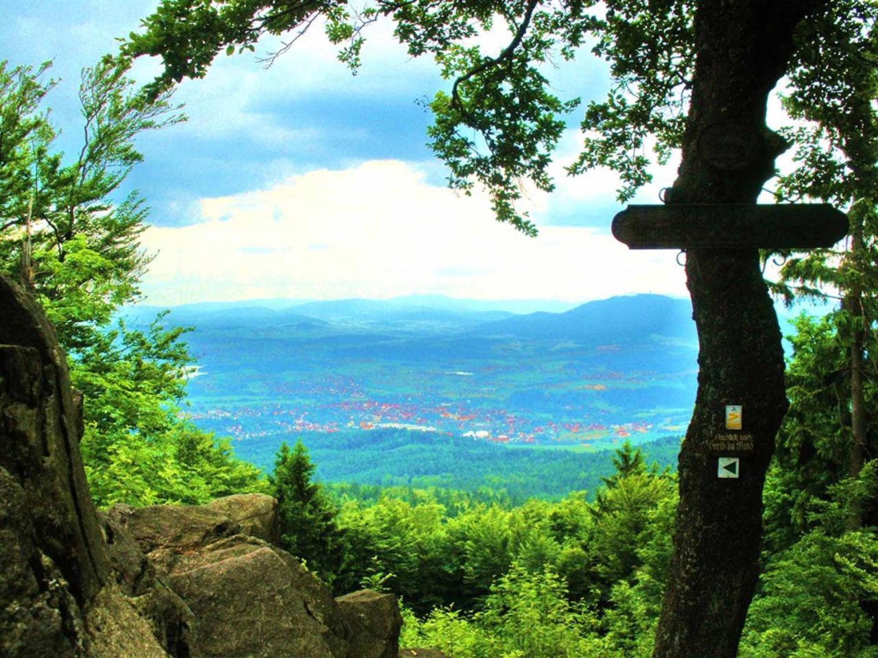 Ferienwohnungen Waldblick Waldmünchen Eksteriør billede