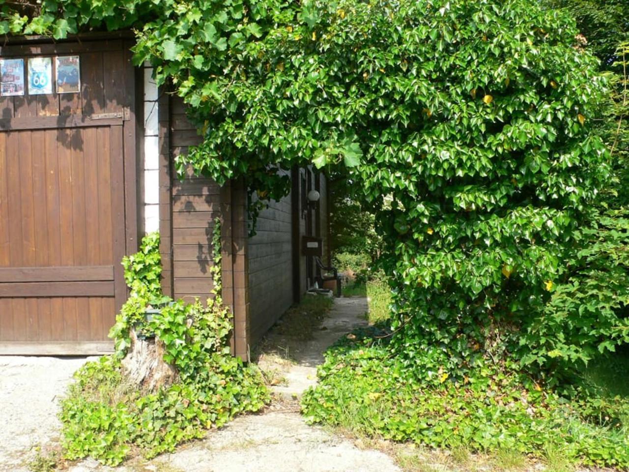 Ferienwohnungen Waldblick Waldmünchen Eksteriør billede