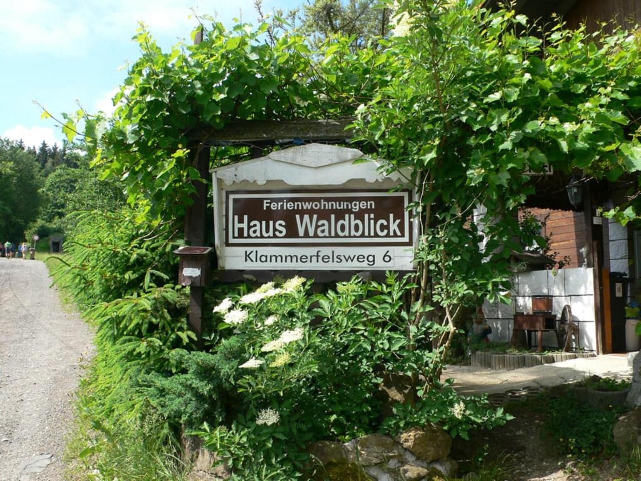 Ferienwohnungen Waldblick Waldmünchen Eksteriør billede